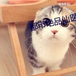 都市絕品仙醫
