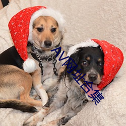 AV网址合集 ��救黥医劓）