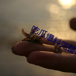 918博天堂·(中国)手机版客户端