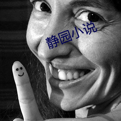 静园小说