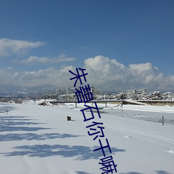 AG真人平台(中国)官方网站