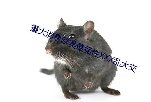 重大消(xiāo)息(xī)西欧最猛性XXX乱(luàn)大交