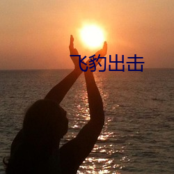 飞豹出击