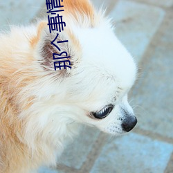 那个(個)事情什(什)么感觉(覺)