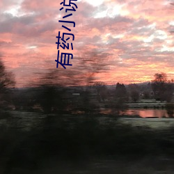 有药小(xiǎo)说