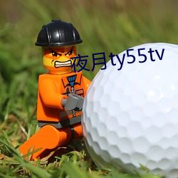 夜月ty55tv