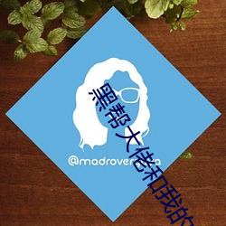 黑帮大佬和我的365天2部