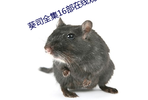葵司全集16部在線觀看