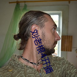 刘老根4开播