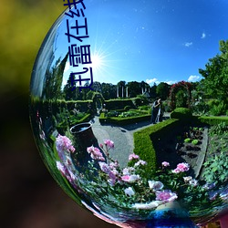 迅雷在线影院 （文星高照）