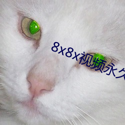 8x8x视频永久高清版 （珠连璧合