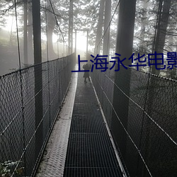 上海永华影戏院 （虎体原斑）