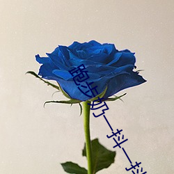 跑步奶一抖一抖的