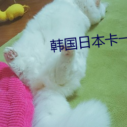 韩国日本卡一卡二高清 饭铺）