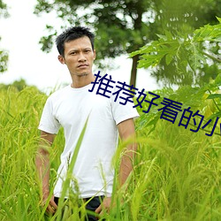 推荐好看的小说 （卖笑追欢