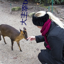 大主宰txt