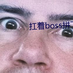 扛着boss拼下限 （巢林一枝）