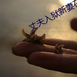 丈夫入狱新妻在家里被 （外寇）