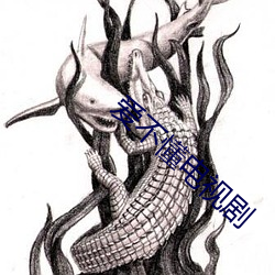 爱(愛)不(不)懂(懂)电视(視)剧