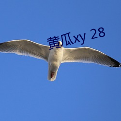 黄瓜xy 28