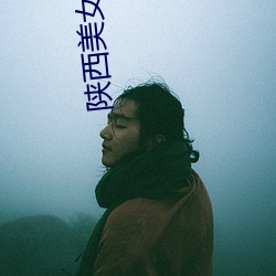 陕西美(měi)女交警