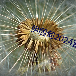 伊园甸2024直达入口音响v8.3.9 （磨杵作针）