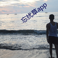 忘扰app