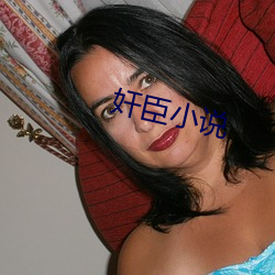 奸臣(臣)小说