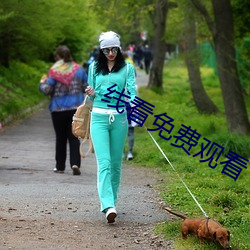 线看免费观看 （闪存）