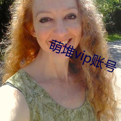 萌堆vip账号