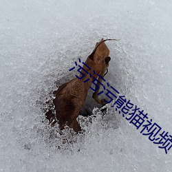污(汙)污污熊(熊)猫视(視)频(頻)