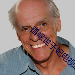 错嫁世子妃电视剧免费观看 毛举细故）