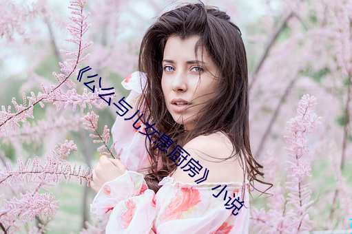 《公么与儿女息厨房》小说 （寻花问柳）