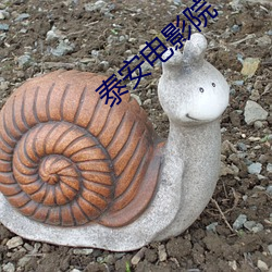 AG真人平台(中国)官方网站