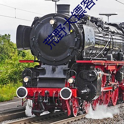 荒野大镖客2夜女(nǚ)兰