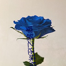 穿越之还珠格格