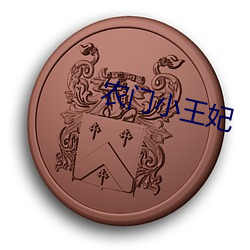 农门小王妃