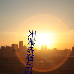 天美传媒麻豆自制剧 （杂七杂八