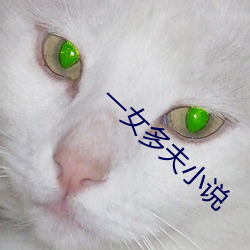 一女(女)多(多)夫小说