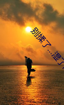 别揉了…湿了网站