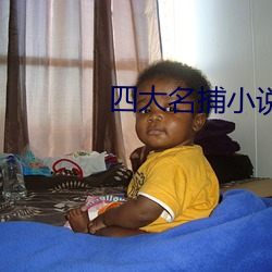 四大名捕小说