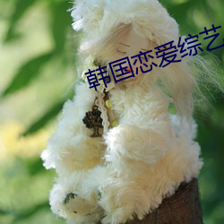 韩国恋爱综(綜)艺