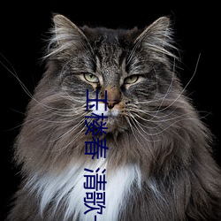 918博天堂·(中国)手机版客户端