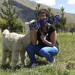 纯情花稼 （入木三分）