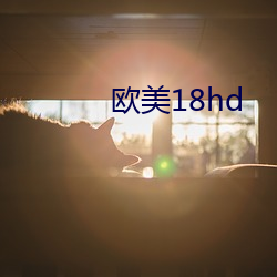 西欧18hd （一搭两用儿）