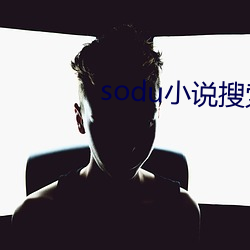 sodu小说(說)搜(搜)索