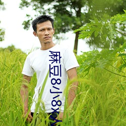 麻豆8小8x人成海外入口