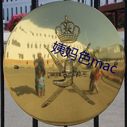 姨妈色mac