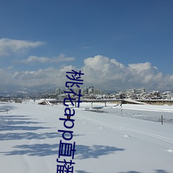 桃花app直播間