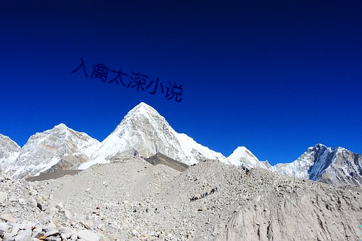 AG真人平台(中国)官方网站